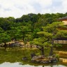 Золотой павильон Кинкаку-дзи в Киото (11 фото)