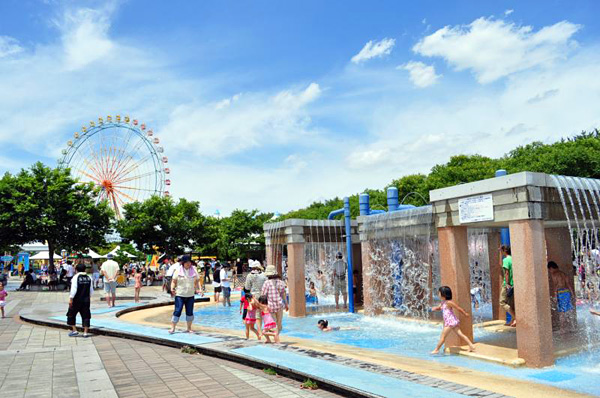 Парк Hitachi Seaside Park в Японии