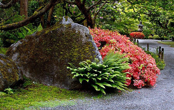 Японский сад в Сиэтле