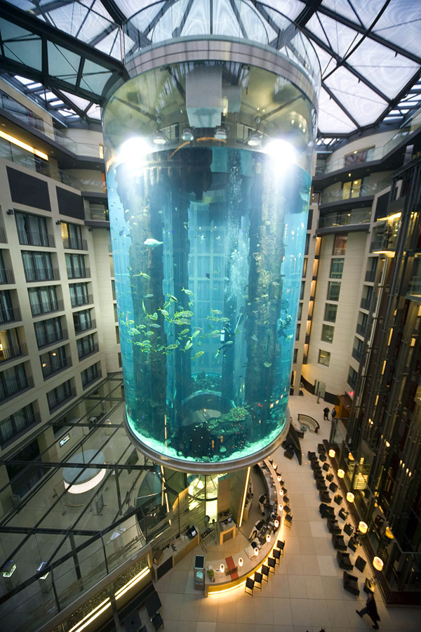 АкваДом самый большой цилиндрический аквариум