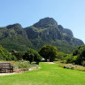 Роскошный сад Кирстенбош в Южной Африке