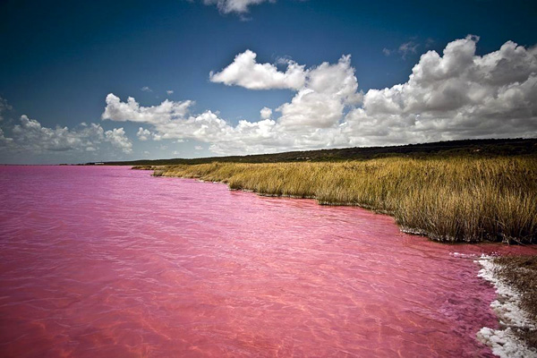 Розовое озеро Ретба в Сенегале