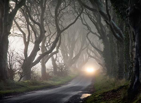 Тоннель Темный тупик в Ирландии