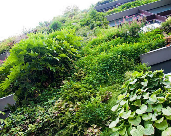 Патрик Бланк и его вертикальные сады