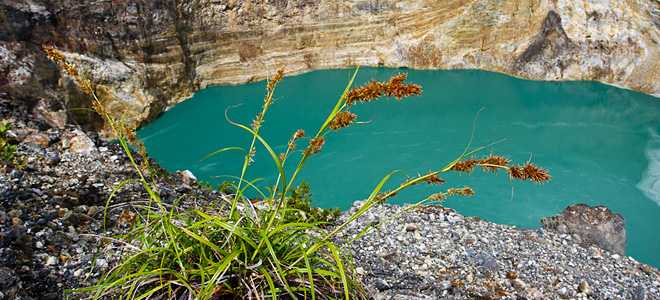 Трехцветные озера вулкана Келимуту (9 фото)