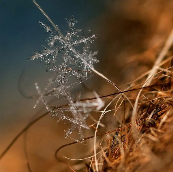 Фотограф Андрей Осокин и красота снежинок