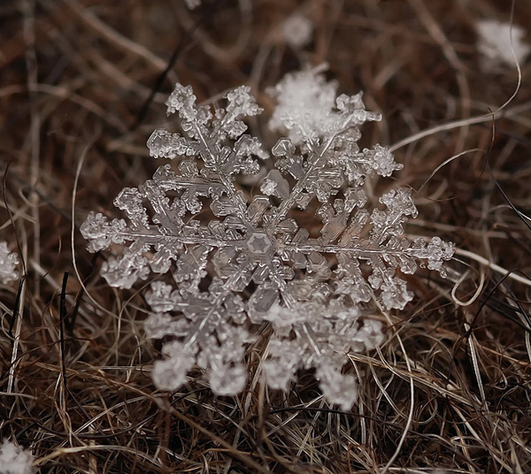 Фотограф Андрей Осокин и красота снежинок