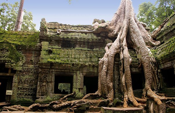 Храм Та Пром в Камбодже