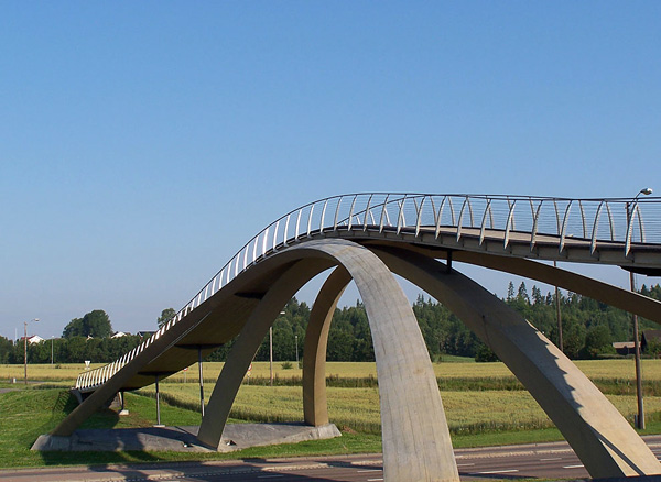 Мост Леонардо да Винчи в Норвегии