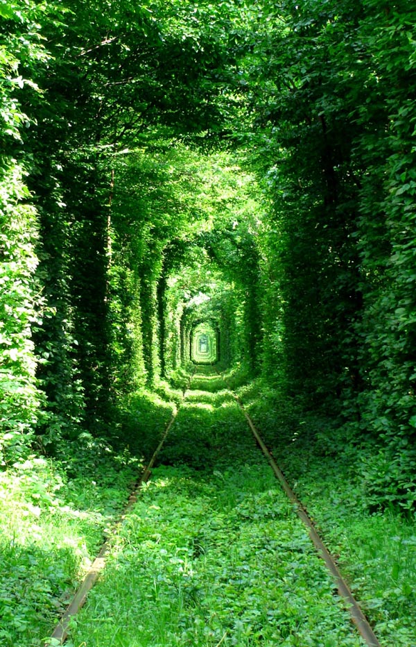 Тоннель любви близ деревни Клевань
