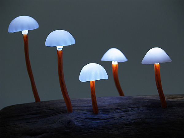 Светящиеся грибницы Юкио Такано