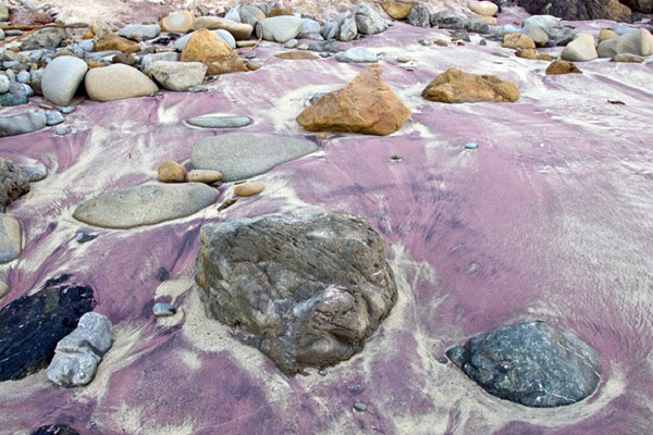 Фиолетовый пляж Пфайффер Бич