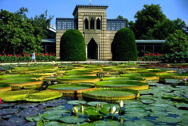 Зоопарк и ботанический сад Вильгельма