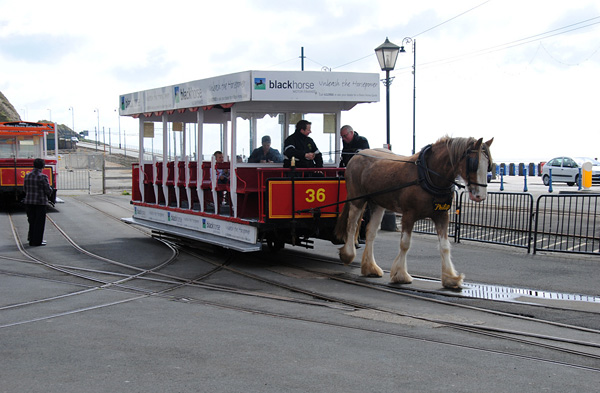 Конка Дугласа - трамвай на конной тяге