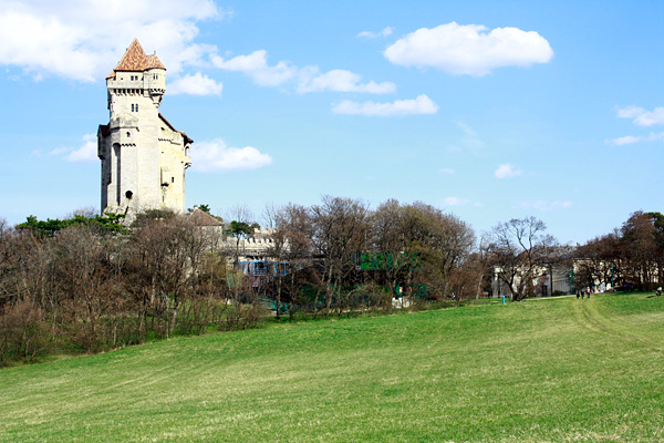 Замок Лихтенштейн в Австрии